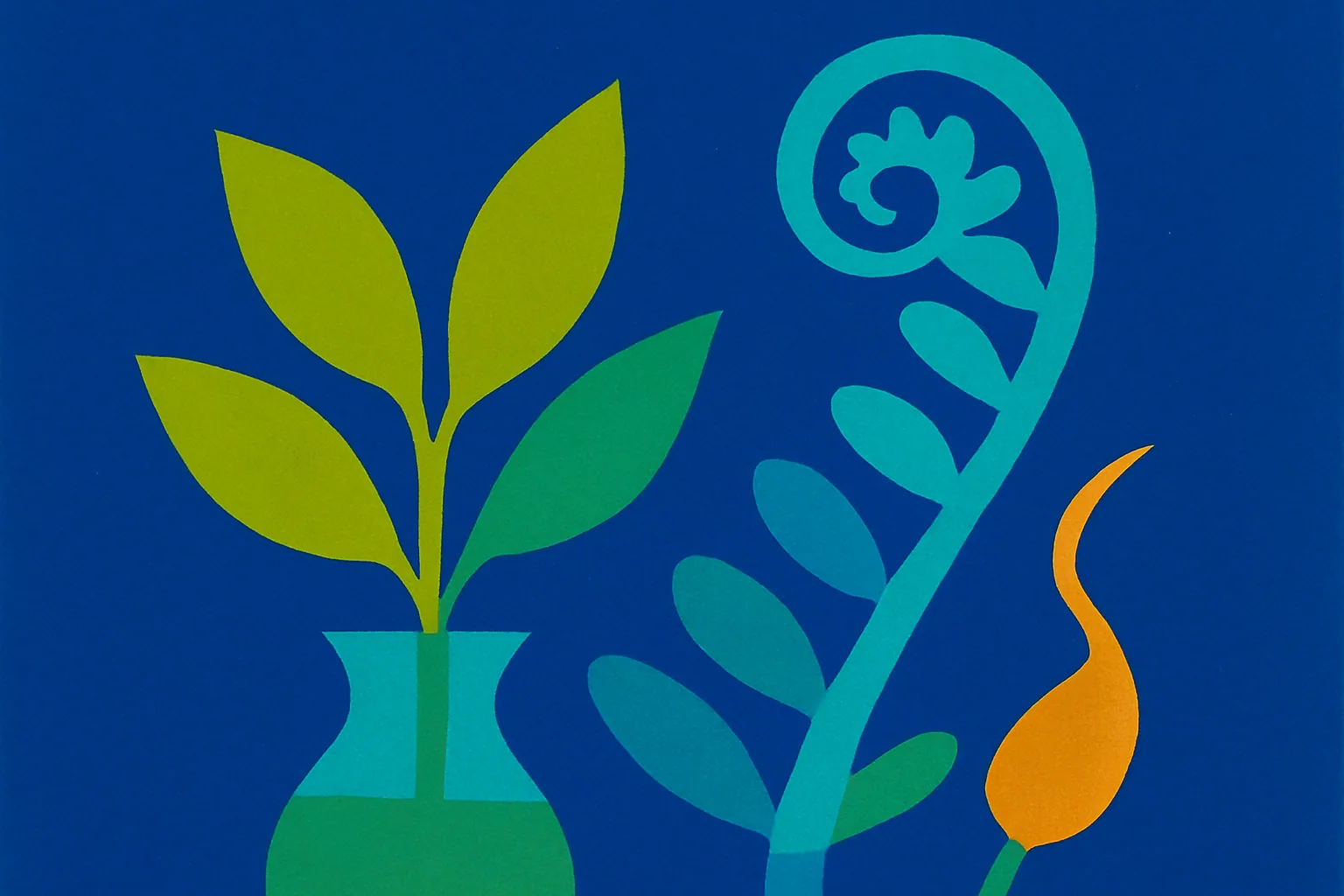 Embryo Transfer Explained